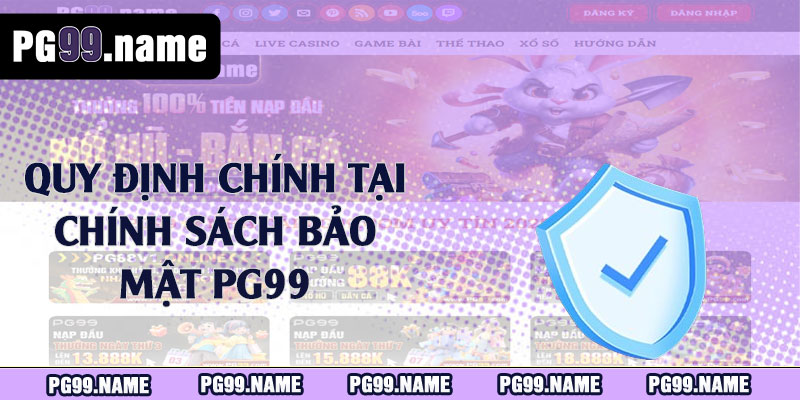 Quy định chính tại chính sách bảo mật PG99